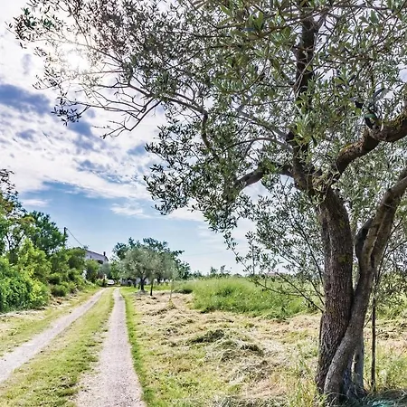 3 Bedroom Lovely In Pula